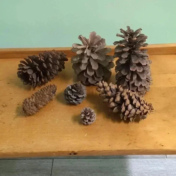 Christmas Pine Cones - Picture 2 of 3